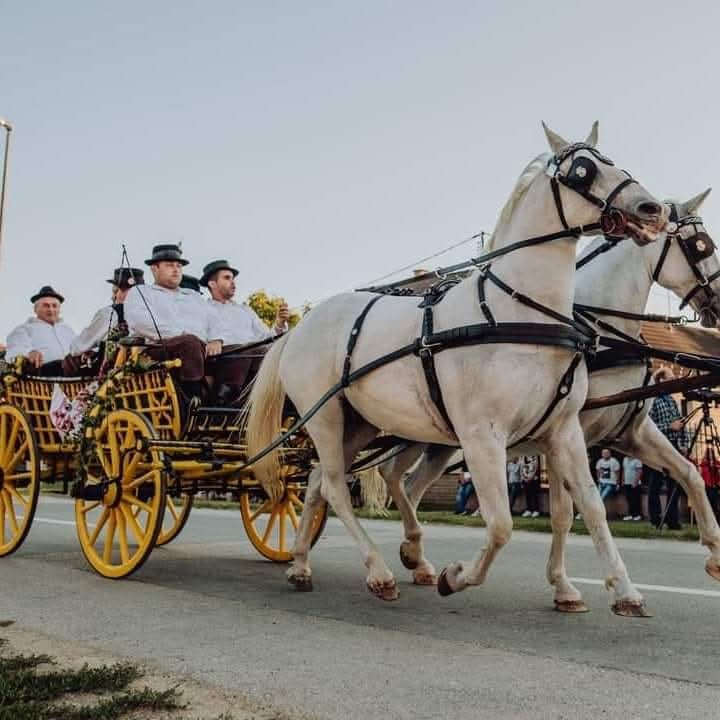 Handcrafted leather belt with brass buckle