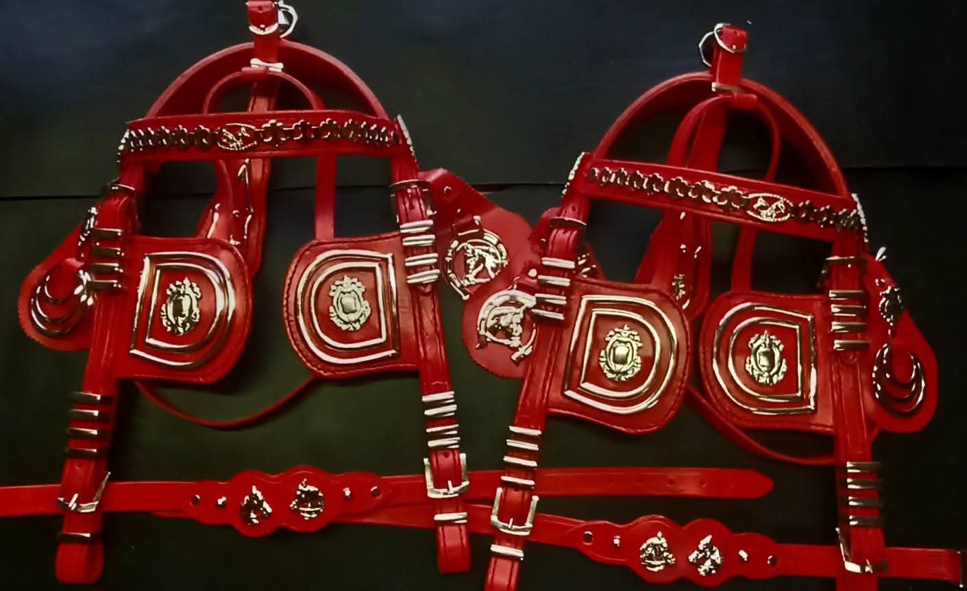 Leather stirrups and riding crop